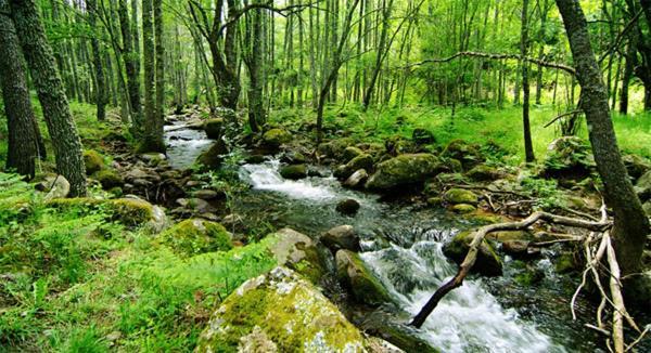 Ruralrut-El Tiemblo Wifi, Cabina De Hidromasaje, Aire Acondicionado Y A Pocos Metros De Zonas De Bano Naturales 외부 사진